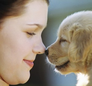 Household Obedience Training